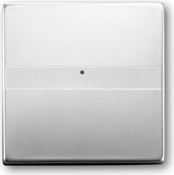 Busch Jaeger 1764 NLI-866 Silber (1731-0-1953)