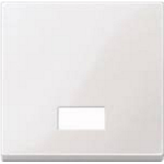 MERTEN Wippe m.Symbolfenster rechteckig 432819 System M polarweiss glänzend 432819 432819 (432819)