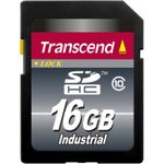 Transcend Industrial (TS16GSDHC10I)