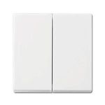 Busch-Jaeger 1731-0-2005 Schalterplatte & Steckdosenabdeckung (1731-0-2005)