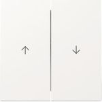 GIRA Wippe 329470 2f Pfeil FL RW (329470)