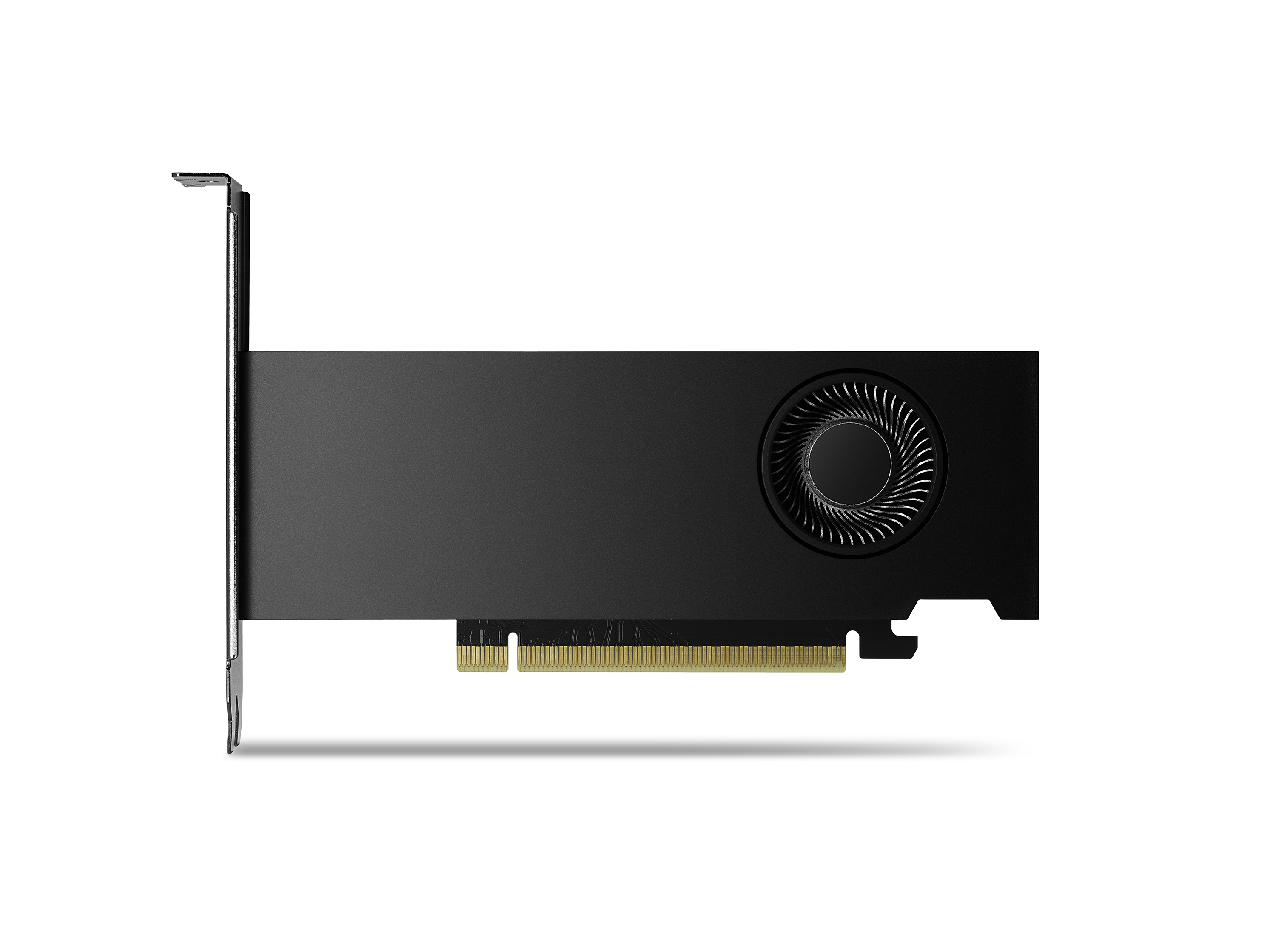 PNY NVIDIA RTX 2000 Ada 16 GB GDDR6 4x Mini DisplayPort Low Profile