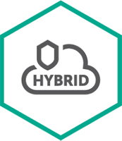 Kaspersky Hybrid Cloud Security Enterprise Server (KL4253XAEFR)