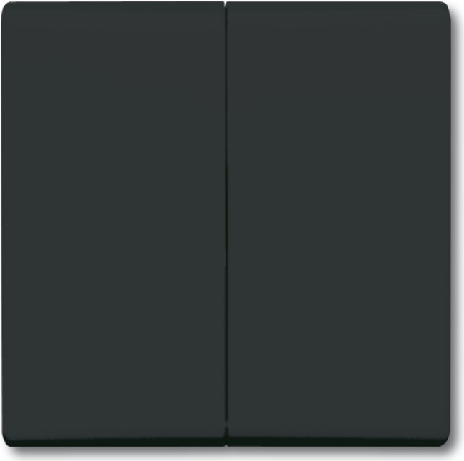 Busch Jaeger 2105-35 Schwarz (1731-0-1676)