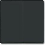 Busch Jaeger 2105-35 Schwarz (1731-0-1676)