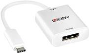 Lindy Externer Videoadapter USB-C 3.1 DisplayPort 43245