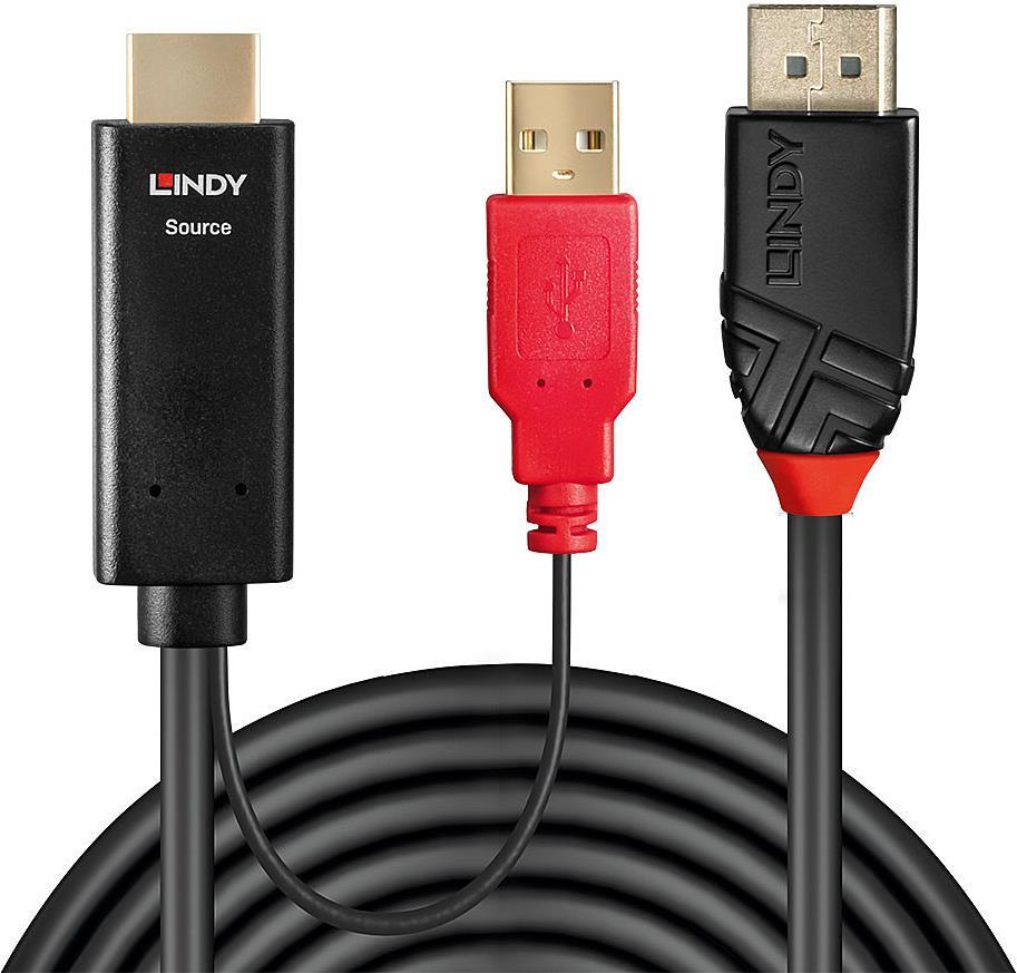 Lindy 0.5m HDMI an DisplayPort Adapterkabel Verbindet ein HDMI-Quellgerät mit einem DisplayPort-Monitor (41424)