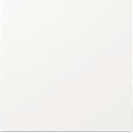 GIRA Wippe Flächenschalter329670Reinweiß (329670)