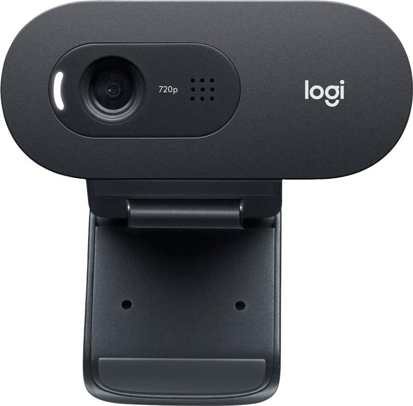Logitech C505 Webcam 1280 x 720 Pixel USB Schwarz