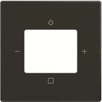 Busch-Jaeger Zentralscheibe 8252-885-101 (2CKA008200A0260)