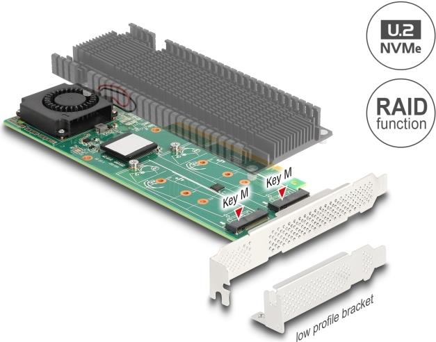 Delock PCI Express x8 Karte zu 2 x intern NVMe M.2 Key M mit RAID (90123)