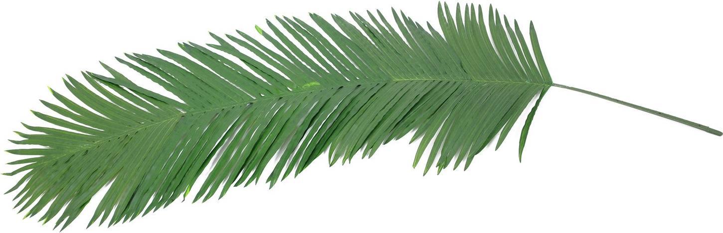 EUROPALMS Kokos-Königspalmwedel, künstlich, 180cm (82509847)