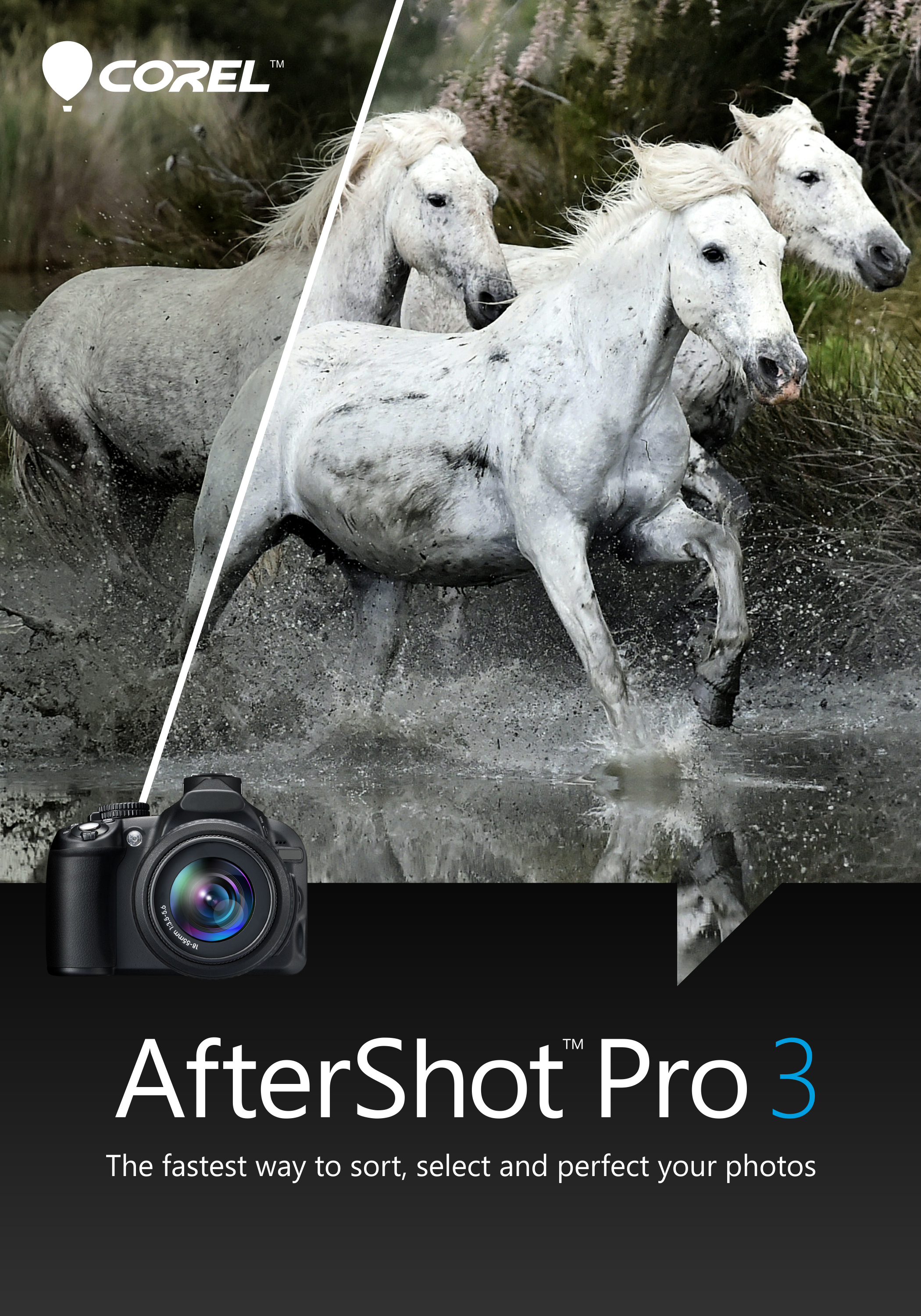 Corel AfterShot Pro 3 – Fotoeditor-Software, 1 Lizenz, Multi-Lingual, ESD