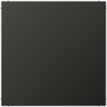 Jung AL 2994 B AN (AL2994BAN)