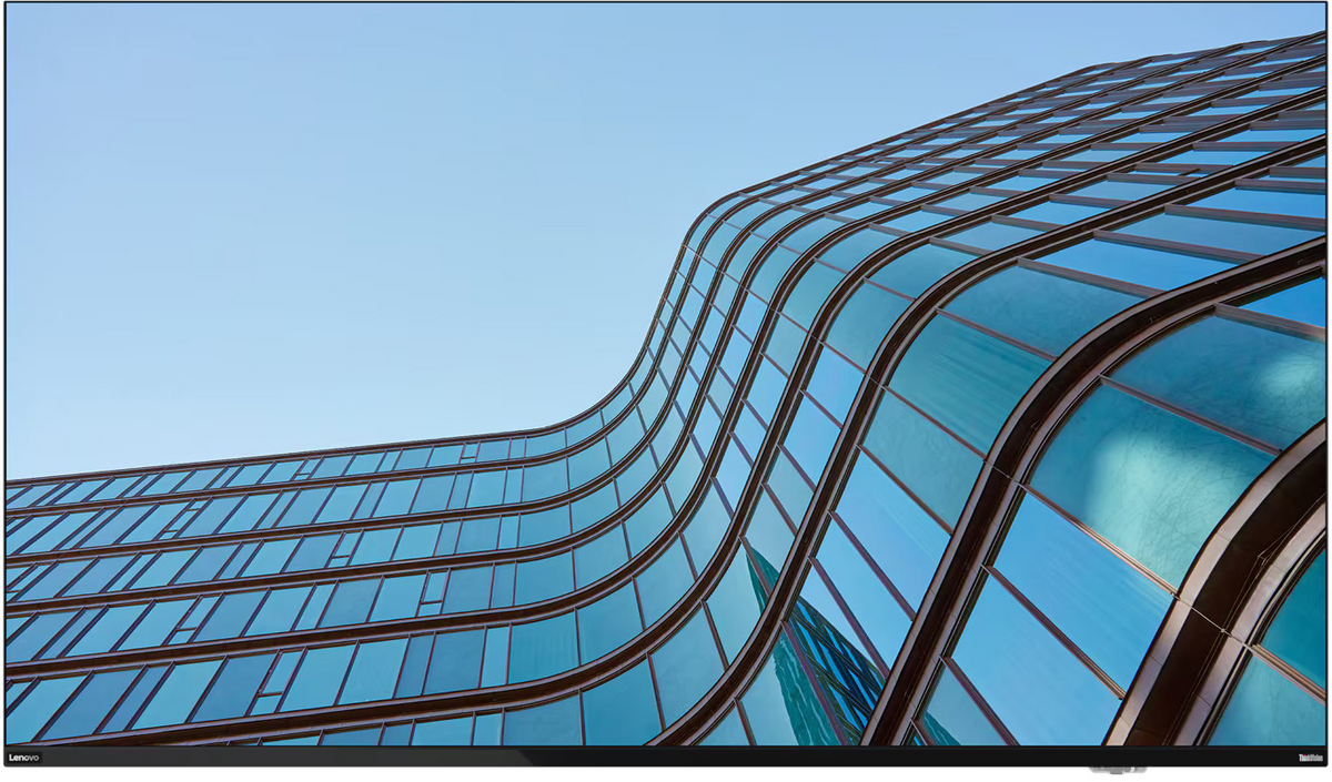 LENOVO ThinkVision E65 LFD 165,1cm 64,5Zoll UHD 8ms 60Hz 400cd/m2 16:9 2xHDMI DP USB-C [Energieklasse F] (64ACGAT1EK)