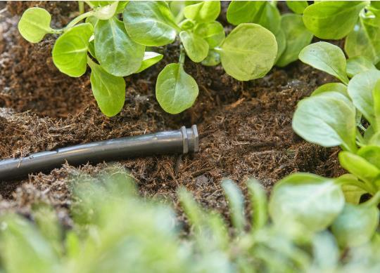 Gardena 13215-20 Bewässerungssystemteil & -Zubehör Rohrenden-Stecker (13215-20)