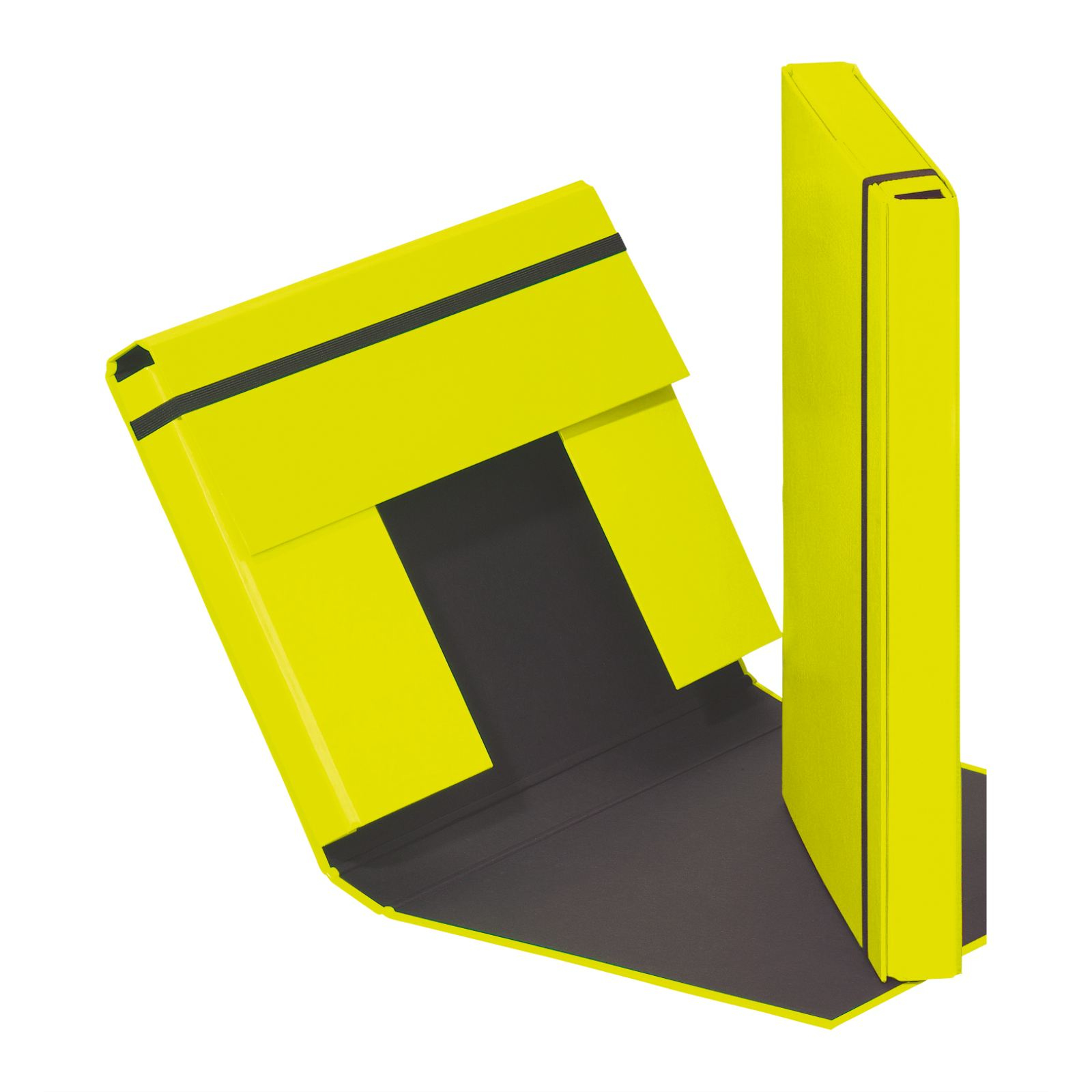 Pagna Trend Colours 21308-75 Heftbox DIN A4 lime