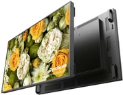 DynaScan Dis Public 55 DS552LT5-2 (DS552LT5-2)