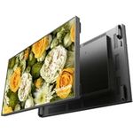 DynaScan Dis Public 55 DS552LT5-2 (DS552LT5-2)