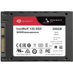 IronWolf 125 SSD 250GB (ZA250NM1A002)