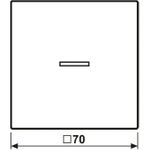 Jung HOME Taster 1fach BTLS17101SWM 1 (BTLS17101SWM)