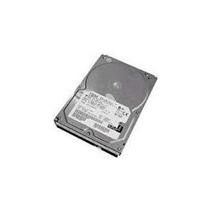 IBM Lenovo Festplatte (44W2234)