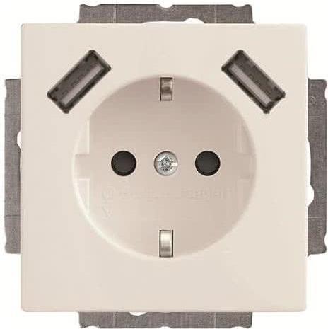 Busch-Jaeger SCHUKO-2x USB Steckdose 20 EUCB2USB-84 (2CKA002011A6273)