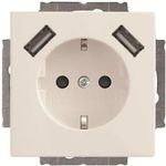 Busch-Jaeger SCHUKO-2x USB Steckdose 20 EUCB2USB-84 (2CKA002011A6273)