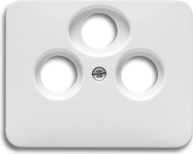 Busch Jaeger 1724-0-1911 Wandplatte/Schalterabdeckung Weiß (1724-0-1911)