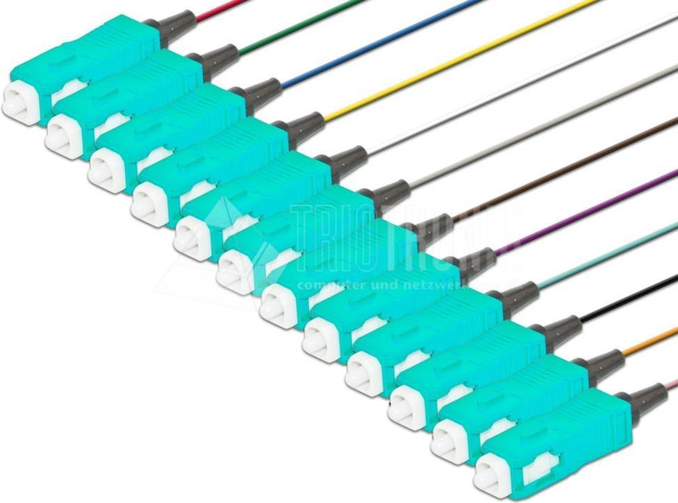 Lightwin PIG 50 SC-12 2.0 OM3 Glasfaserkabel 2 m Mehrfarbig (PIG 50 SC-12 2.0 OM3)