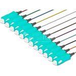 Lightwin PIG 50 SC-12 2.0 OM3 Glasfaserkabel 2 m Mehrfarbig (PIG 50 SC-12 2.0 OM3)