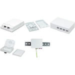 Logilink FTTH Anschlussdose 2-fach, Aufputz, weiß (FB1001)