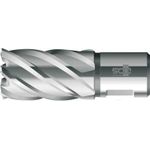 BDS Kernbohrer HSS Standard 13,0mm Schnitt.30mm Weldon-Aufnahme (KBK-013)