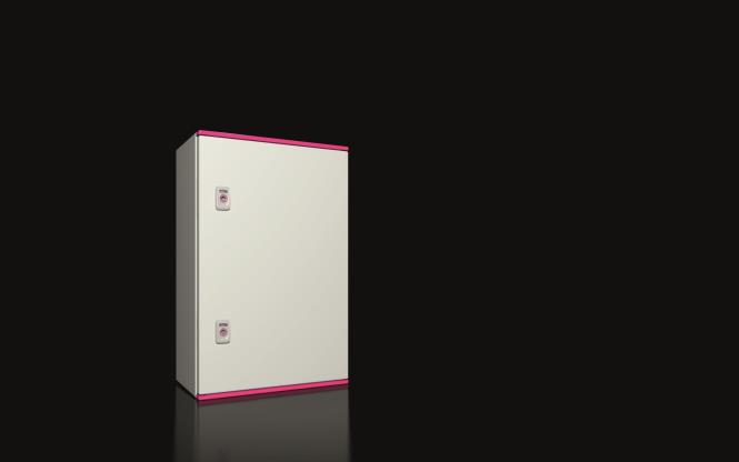 RITTAL AX 1446.000 Kunststoff, BHT: 400x600x200 mm (1446000)