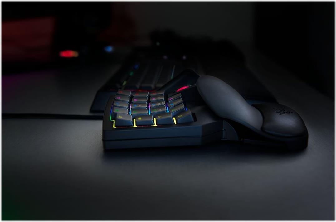 Razer Tartarus V2 Gaming-Keypad USB hintergrundbeleuchtet Schwarz