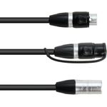 EUROLITE Adapterkabel DMX IP XLR 3pol(M)/2xIP XLR 3pol(F) (30227869)