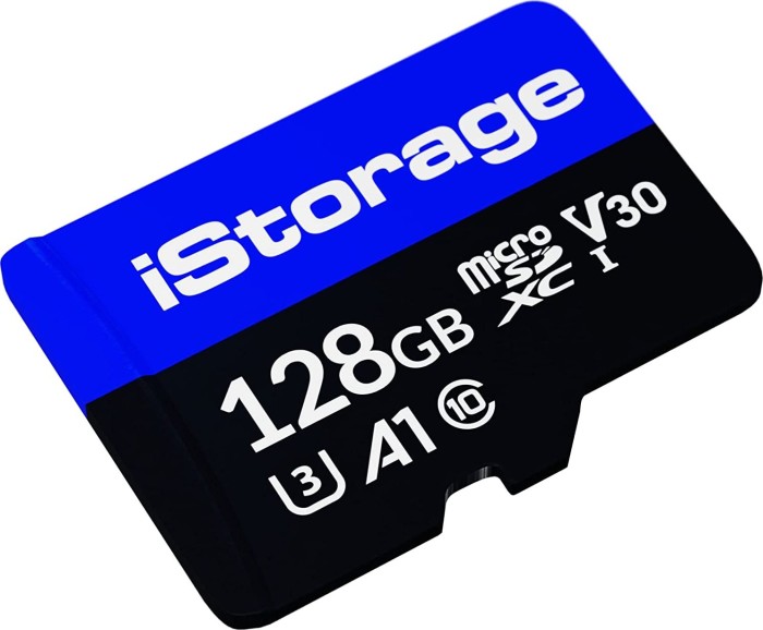 iStorage Flash-Speicherkarte (IS-MSD-1-128)