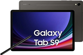 Samsung Galaxy Tab S 256 GB - Tablet (SM-X716BZAEEEE)