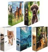 HERMA Sortiment Motivordner "Lieblingstiere" Rückenbreite: 70 mm, aus stabilem Karton, bedruckter - 1 Stück (20096)