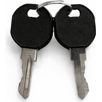 DSIT Extra Schlussel für die Türen von einem Serverschrank ( Inkl. Ersatzschlüssel) (DS-LOCK-KEY)