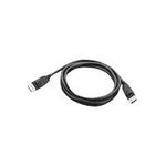 Lenovo DisplayPort-Kabel (03X6405)