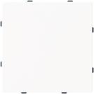 Busch-Jaeger Blindzentralscheibe m. Tragring 1742-44M (2CKA001710A4212)