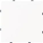 Busch-Jaeger Blindzentralscheibe m. Tragring 1742-44M (2CKA001710A4212)