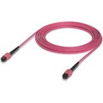 Ubiquiti Indoor OM4 multi-mode fiber B UPC connectors designed for 100G applications. 5M (UACC-OFC-MA-MPMP-5M)