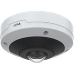 AXIS M4317-PLVE Netzwerk-Überwachungskamera (02510-001)