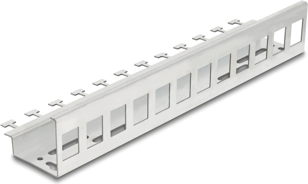 Delock Keystone Metall Halterung 12 Port für Hutschienen und Wandmontage (90631)