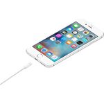 Apple Lightning-Kabel (MXLY2ZM/A)