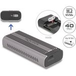 Delock Speichergehäuse (42029)