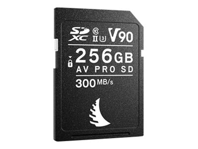 Angelbird AVpro SD MK2 V90 256 GB SDXC UHS-II Schwarz