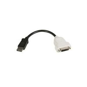 StarTech.com DisplayPort Adapter auf DVI - DP (Stecker) (DP2DVI)